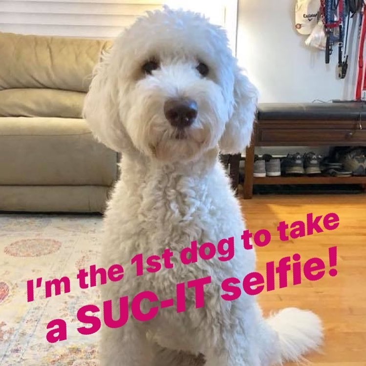 38081373_229185377734103_3463875980169314304_n