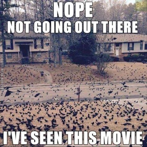 b68397568d887a5af6052dbfdf1b4033