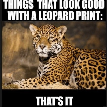 leopard