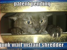 8af404c5f2bdc0f232c65bb6b3f42a09--junk-mail-patent-pending