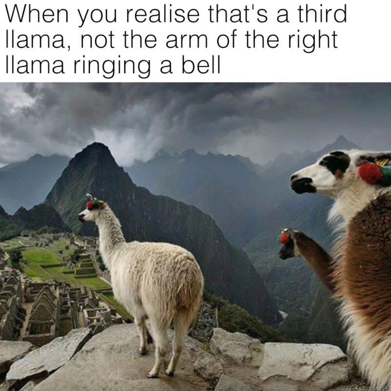 MFDT-funny-meme-Mar3p-10