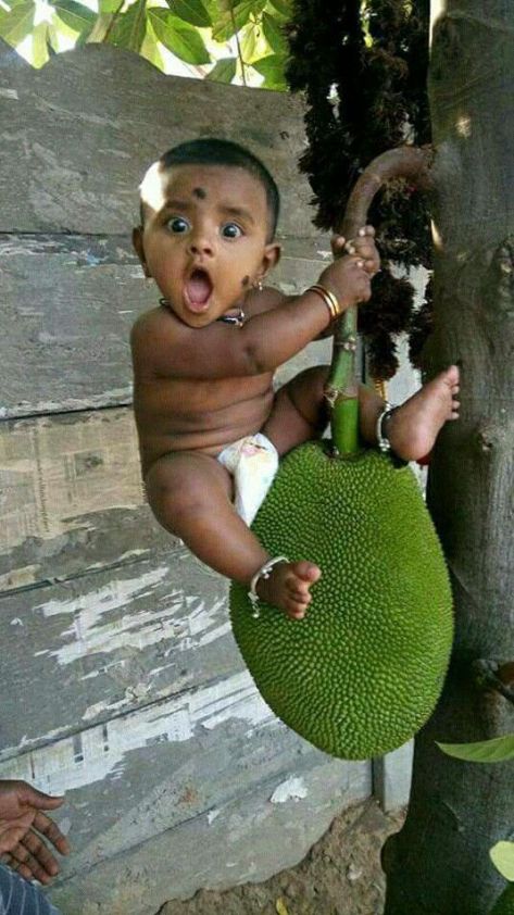 482503a93122e3d2288cb97063d44221