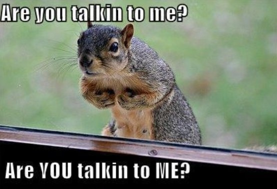 Are-You-Talikng-to-Me-Funny-Squirrel-Meme