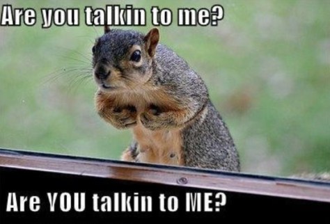 Are-You-Talikng-to-Me-Funny-Squirrel-Meme