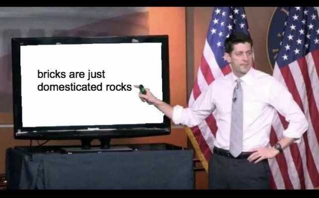 bricks-are-just-domesticated-rocks-RqMCi
