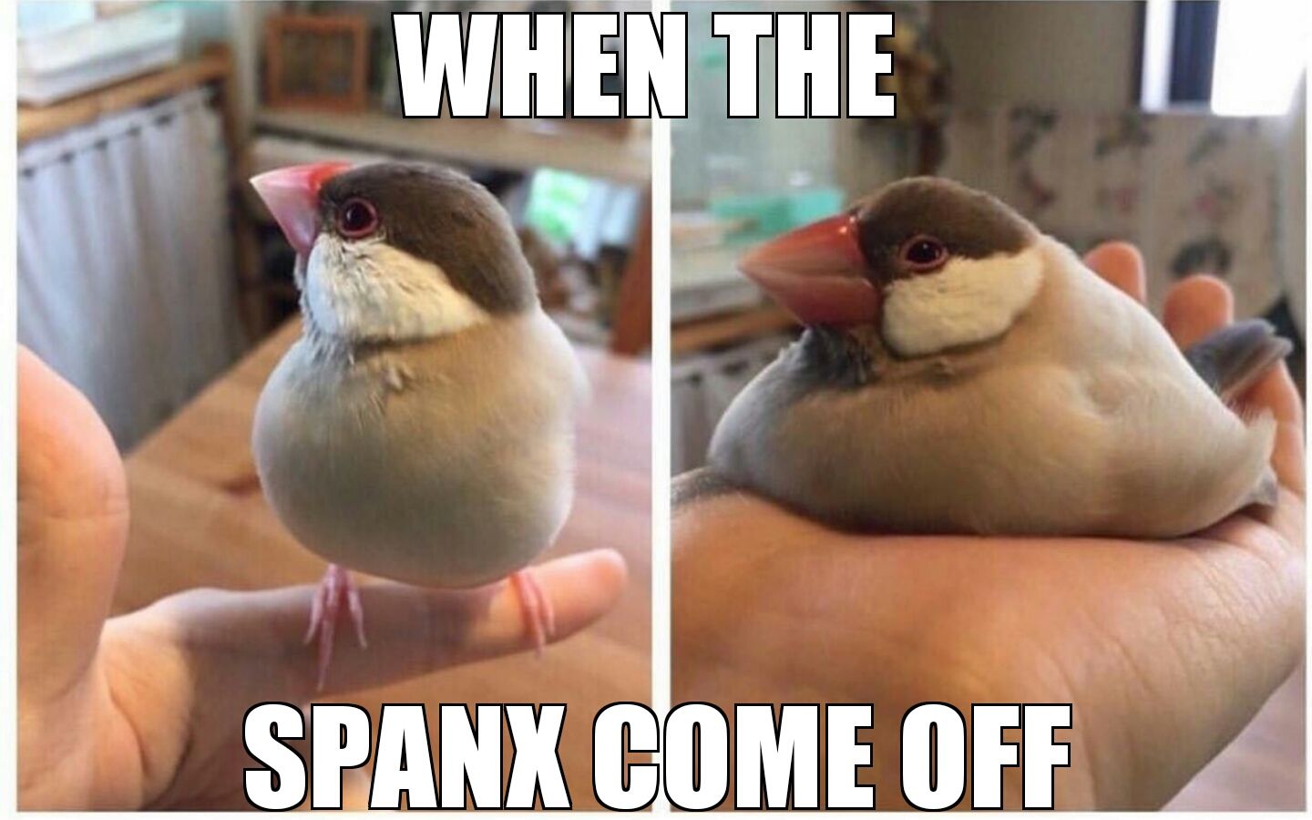 9d96052ac9749f0d03cc114b27d46e78