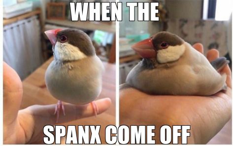 9d96052ac9749f0d03cc114b27d46e78