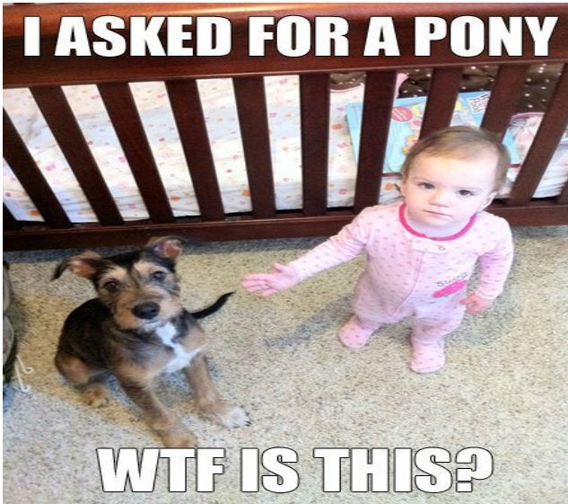 birthday-present_o_1088364