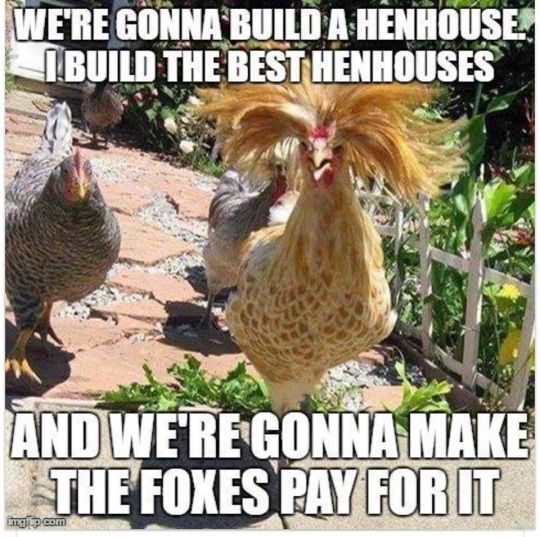 1e0f98556eafa7f334d71ba094c1073c