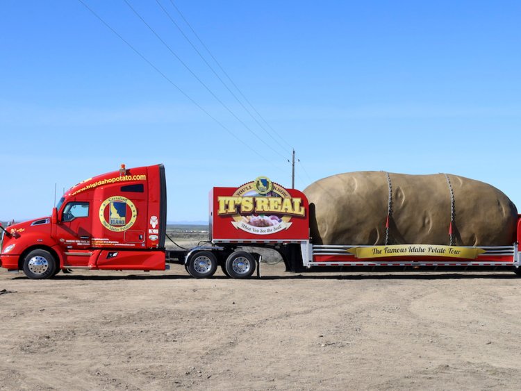 5cc028fd66ae8f79733c36c5-750-563