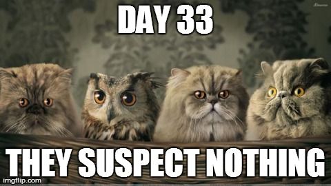 92e3cb9006d64d55548366d9ccb0b176