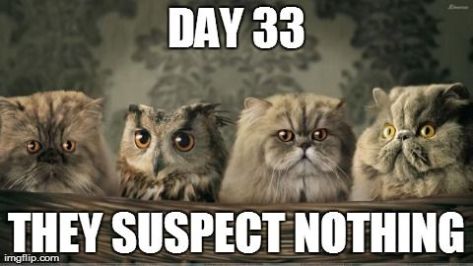 92e3cb9006d64d55548366d9ccb0b176