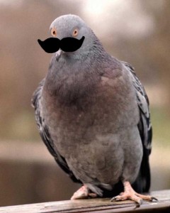 bc968909fed5cbaa84344d6801f5caff