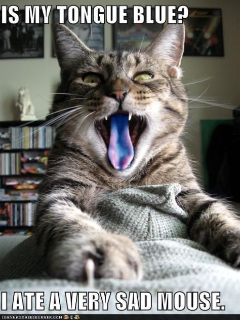 c1571b455a00de03752ca20fe466fa41