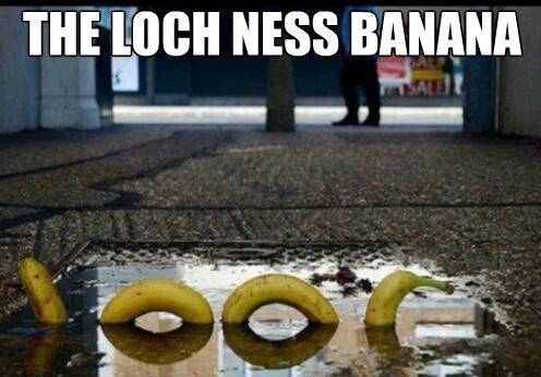 the-loch-ness-banana_o_2537845