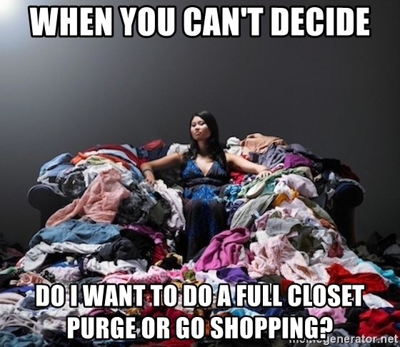 when-you-cant-decide-do-i-want-to-do-a-full-closet-purge-or-go-shopping