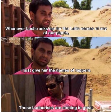 59726866_143837390113169_7027898517624120345_n