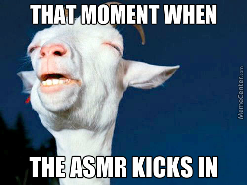 asmr-the-only-reason-i-amp-039-m-alive-today_o_5717915