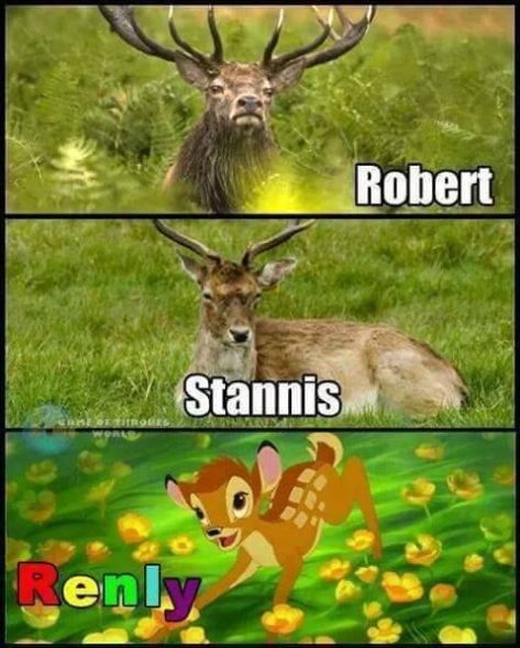 c5a2fd7679af66ddc1d493016968de7d--baratheon-brothers-game-of-thrones-meme