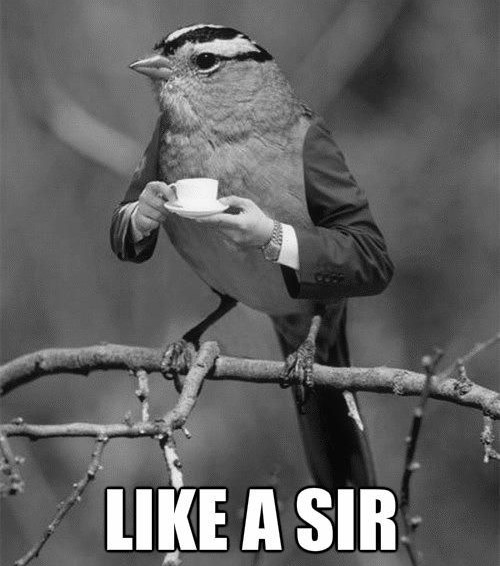 having-tea_o_1112071