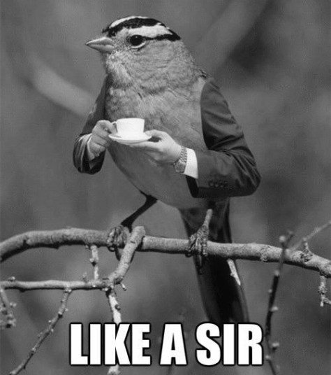 having-tea_o_1112071