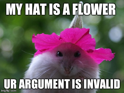 My-Hat-Is-A-Flower-Ur-Argument-Is-Invalid-Funny-Meme-Picture