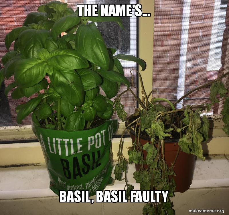 the-names-basil