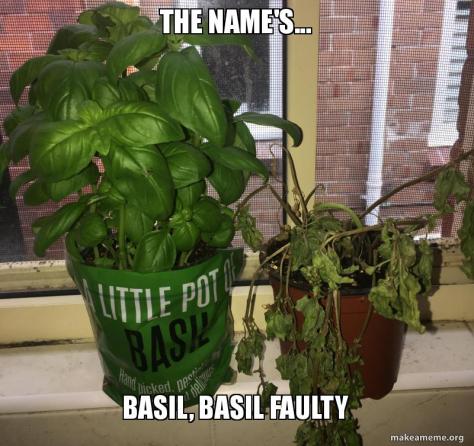 the-names-basil