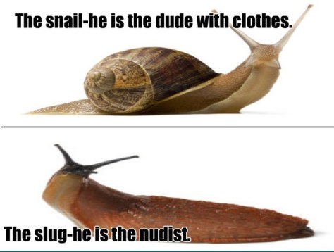 the-snail-and-the-slug_o_2675307