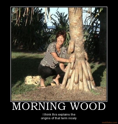 +_b82b85d91d5032d4b3be5fd3f762e0de