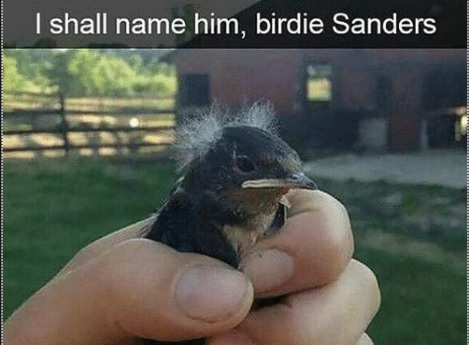 birdie