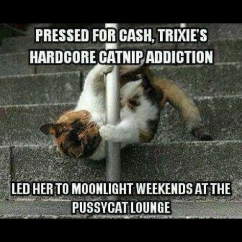 c9f8470ff28996ed8e6fd430b30959c2