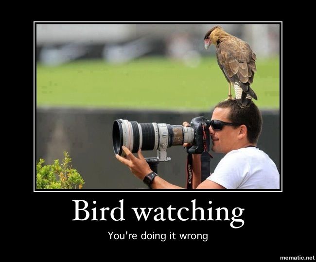 e12c8c416a368f7edd344c0e893dda50