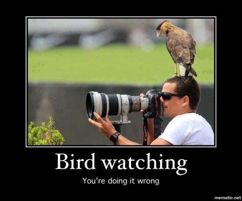 e12c8c416a368f7edd344c0e893dda50