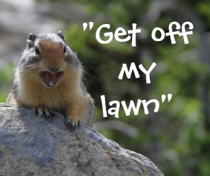 funny_ground_squirrel_mouse_pad-r627c2acfbdfa464598d698c08256374e_x74vi_8byvr_307
