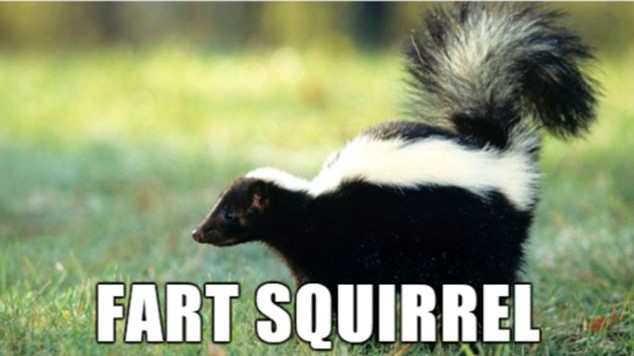 3efc8e56-2484-4a6c-ba9a-dffd4b578c17