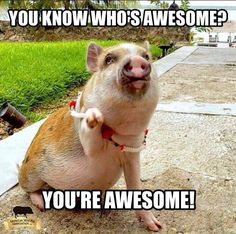 f57a4e210313ab0004e8d07dd8a248ac--funny-things-funny-stuff