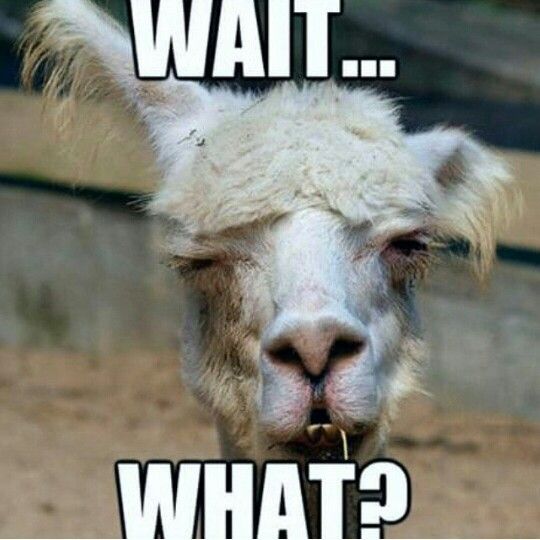 4dde8d92b71b400dca327caa7cd2dd8f