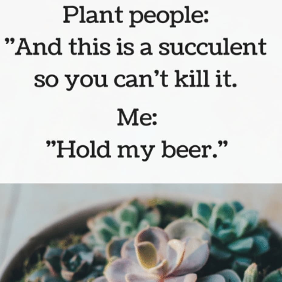 60594347_883749695307676_5126434083110592110_n