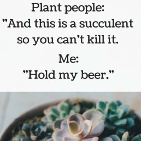 60594347_883749695307676_5126434083110592110_n