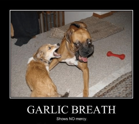 garlic breath