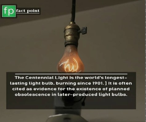 light bulb