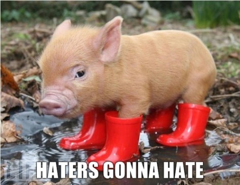 tumblr_lax7qocekd1qcu6oxo1_500