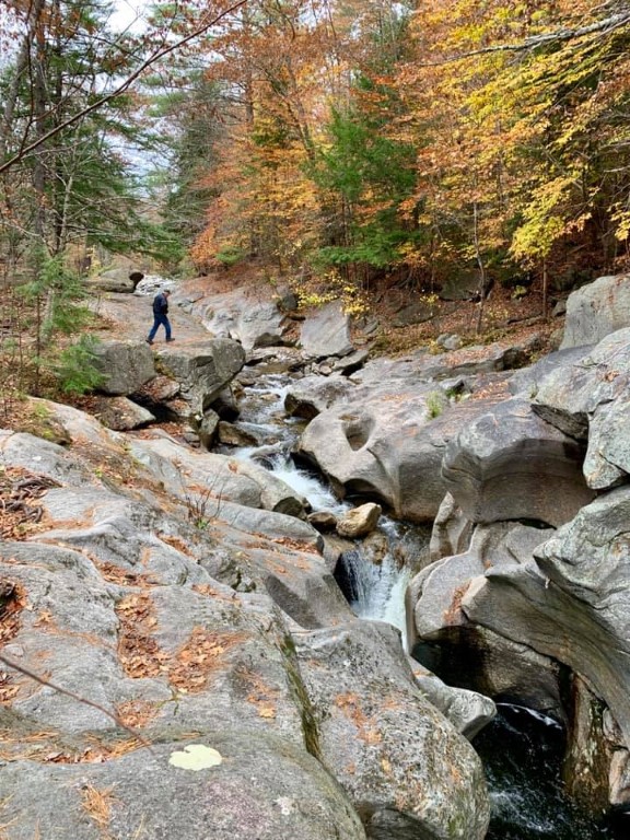 72672217_2499384216782975_8052502005651865600_n