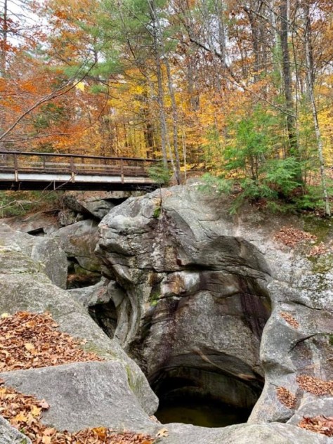 72801363_2499384253449638_5444097925032443904_n