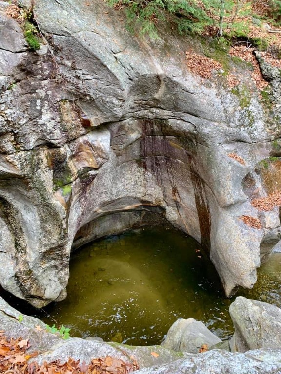 72961322_2499384303449633_6023386080076627968_n