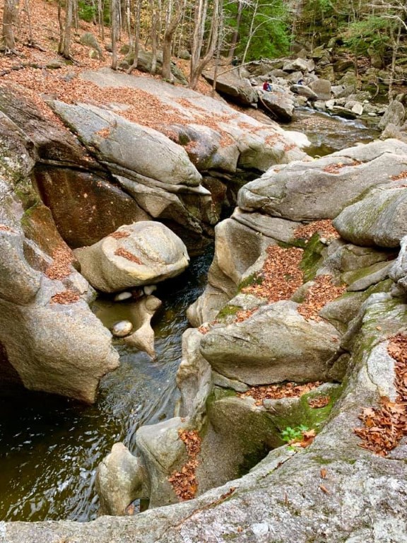 74218627_2499384073449656_5260753338898579456_n