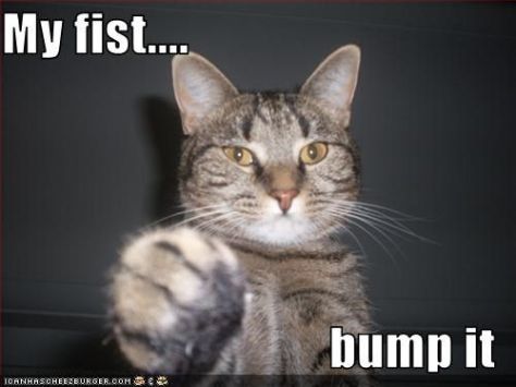 3c35e9622ecc34a1b64a2065c29acce4