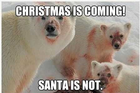 62-Christmas-is-coming-funny-polar-bear-meme