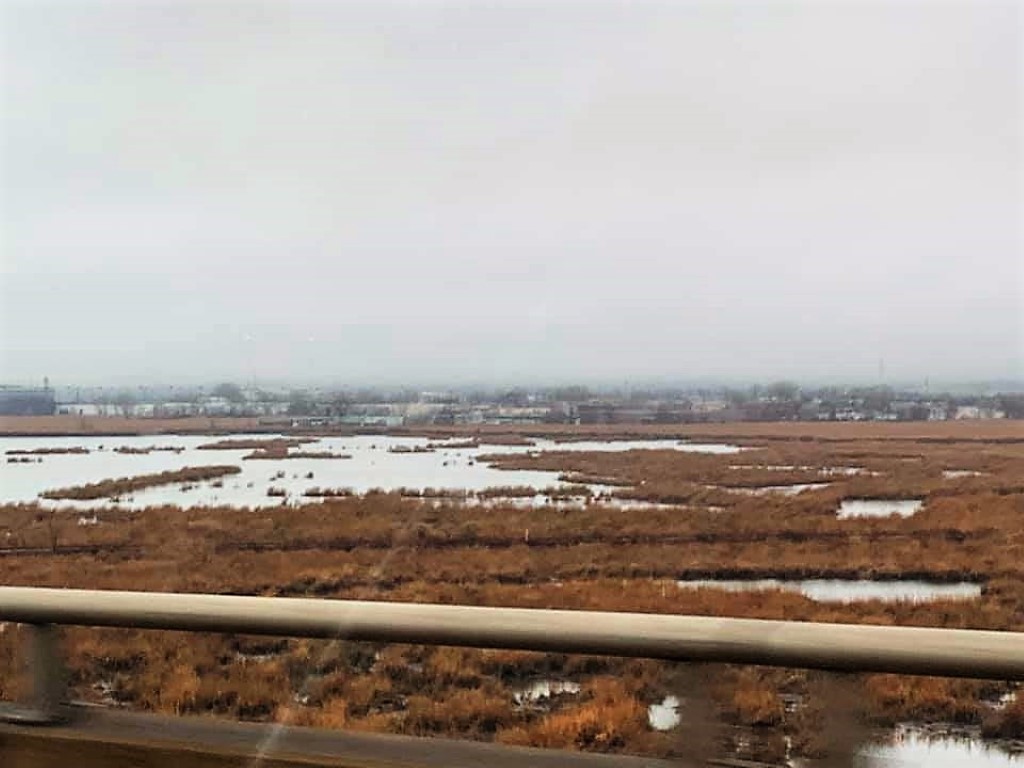 80603574_2652910751430320_1714074259027918848_n